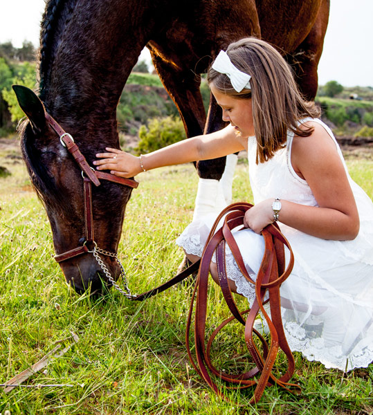 bodas